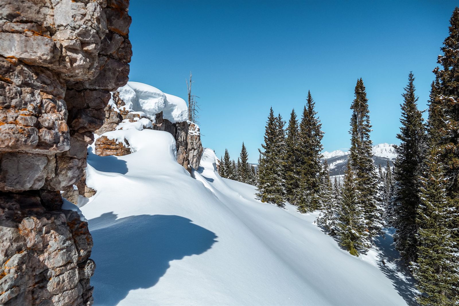 Deep fresh snow below a rock outcrop and pine trees under a clear blue sky