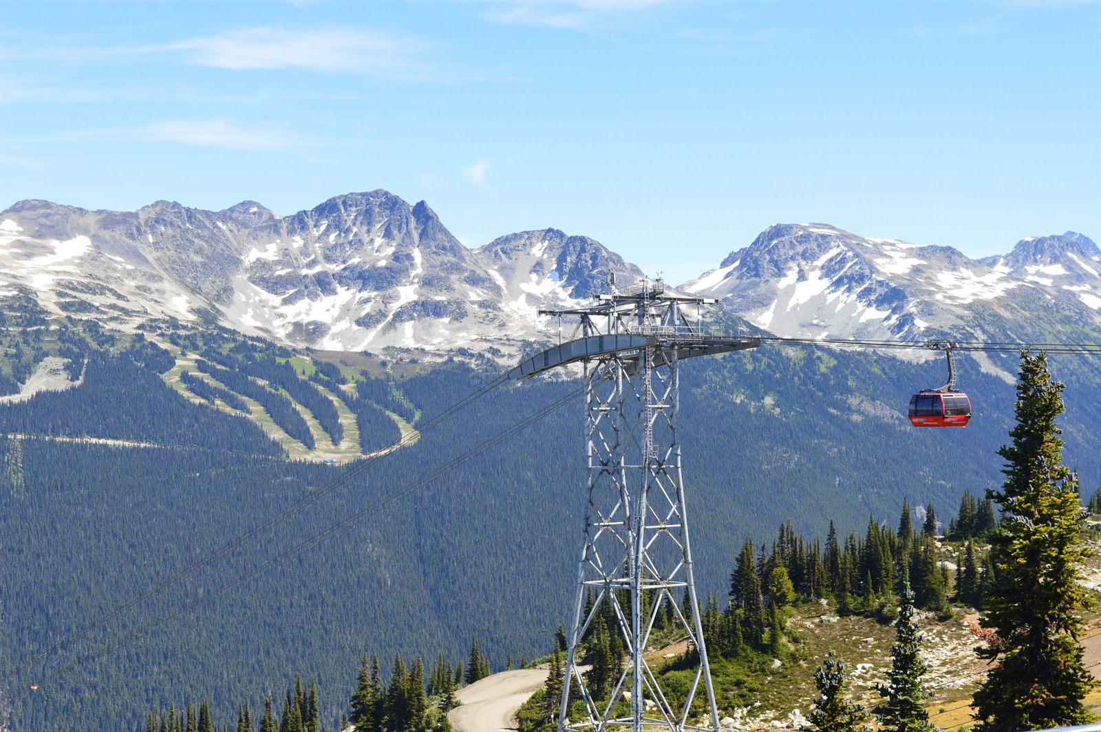 Red gondola cabin on cables above pine forest with snowy peaks and ski runs beyond